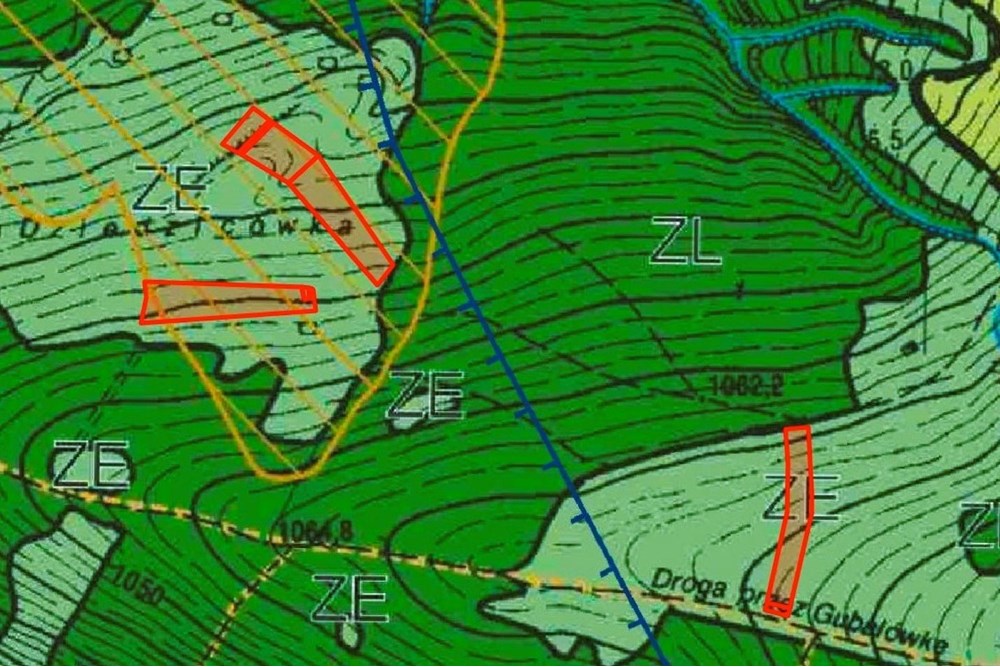 Działka - Sprzedaż - Dzianisz, Polska - Gison Dziedzicówka MPZP.jpg - 470151050-7