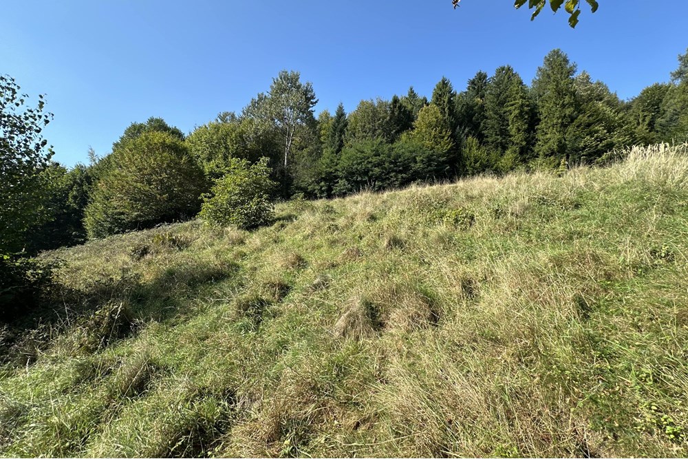 Działka budowlana - Sprzedaż - Międzybrodzie Bialskie, Polska - IMG_1846.jpg - 800061103-193