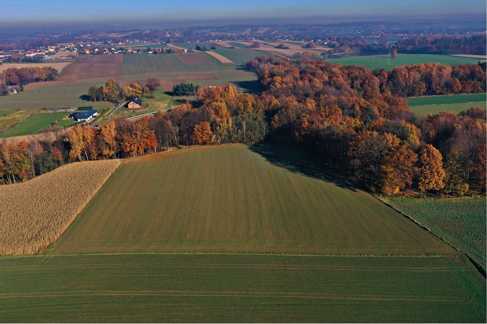 Działka - Sprzedaż - Witkowice, Polska - 24.JPG - 470131110-4