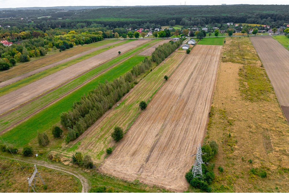 Działka - Sprzedaż - Skotniki, Polska - Dzialka-budowlana-na-sprzedaz-Skotniki-Zgierz-Lodz-4.jpg - 470191057-32