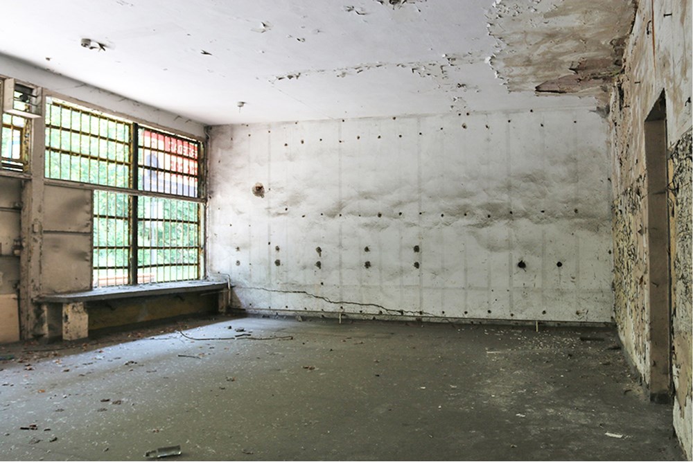 Nieruchomość inwestycyjna - Sprzedaż - Zabrze, Polska - Zabrze Szybowa (14).JPG - 800041074-14