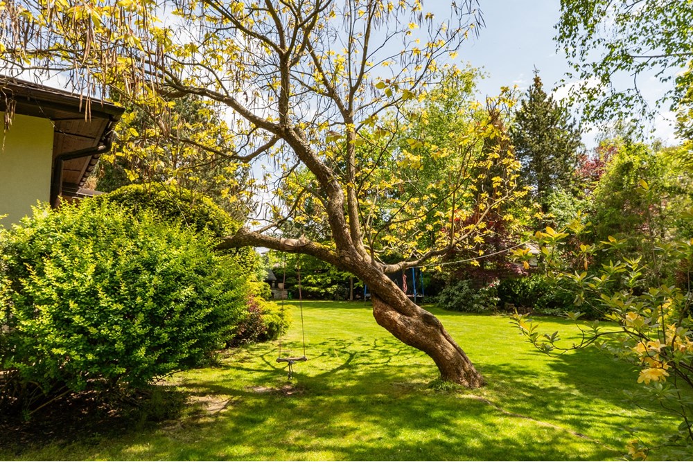 Dom wolnostojący - Sprzedaż - Nowa Iwiczna, Polska - DAW01651.jpg - 810131026-116