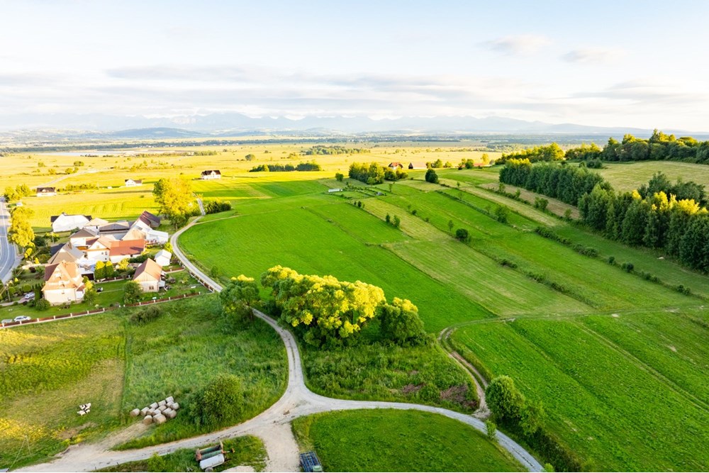 Działka budowlana - Sprzedaż - Pieniążkowice, Polska - DJI_0544-HDR-14.jpg - 800091045-36