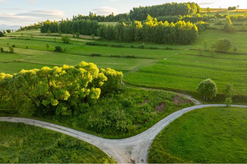 Działka budowlana - Sprzedaż - Pieniążkowice, Polska - DJI_0502-HDR-2.jpg - 800091045-36