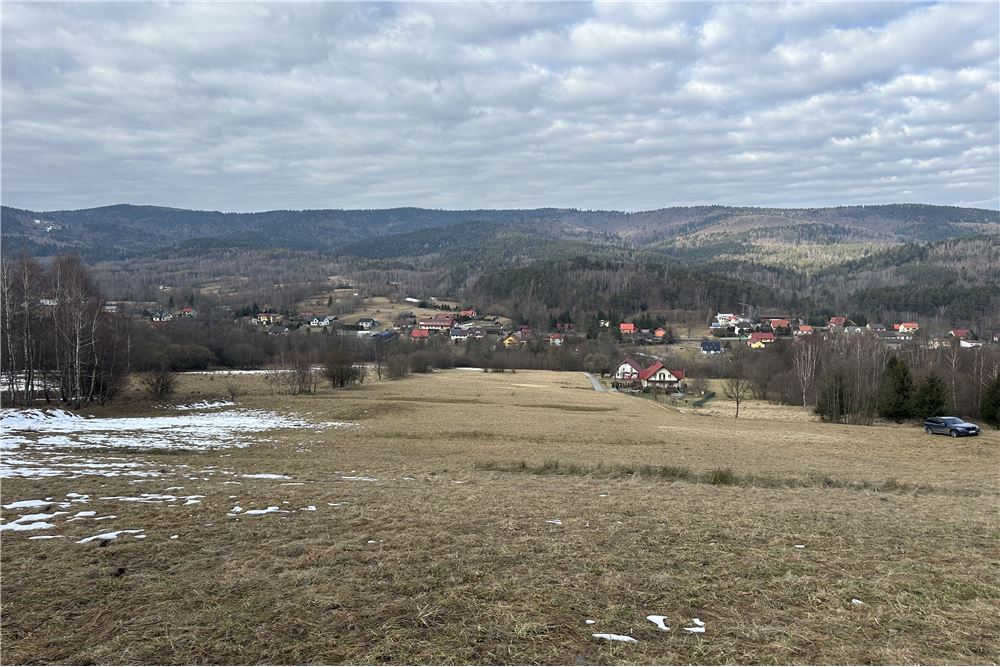 Działka budowlana - Sprzedaż - Las, Polska - 40 - 800061103-198