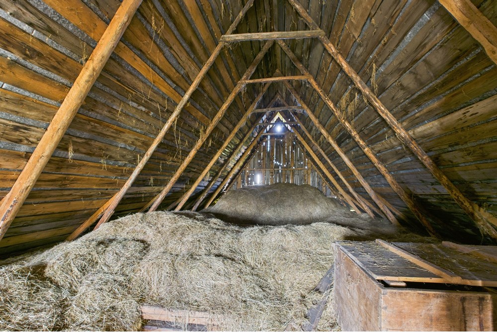 Dom wolnostojący - Sprzedaż - Czerwienne, Polska - CAM05558G0-PR0017-STILL010.jpg - 470151024-447