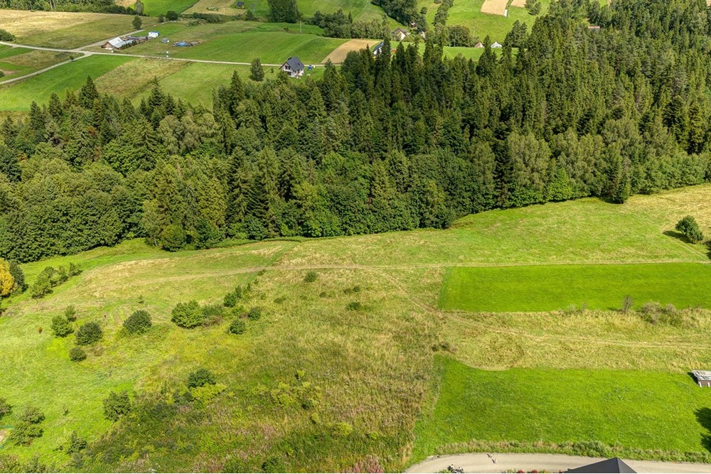 Działka - Sprzedaż - Krośnica, Polska - 0005_pajerski-dzialka-krosnica.jpg - 470131113-349