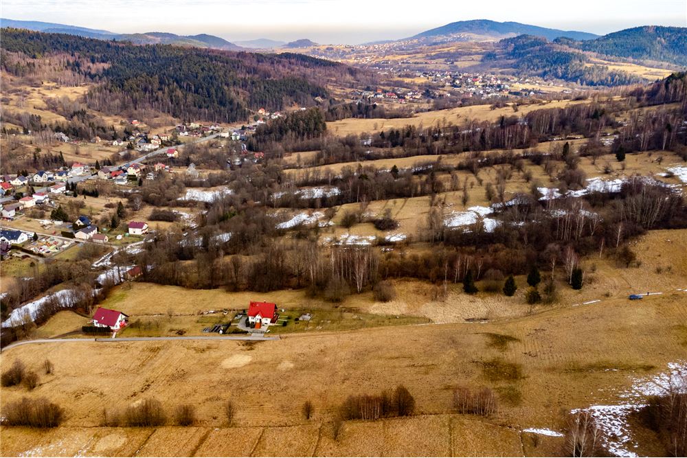 Działka budowlana - Sprzedaż - Las, Polska - 27 - 800061103-198