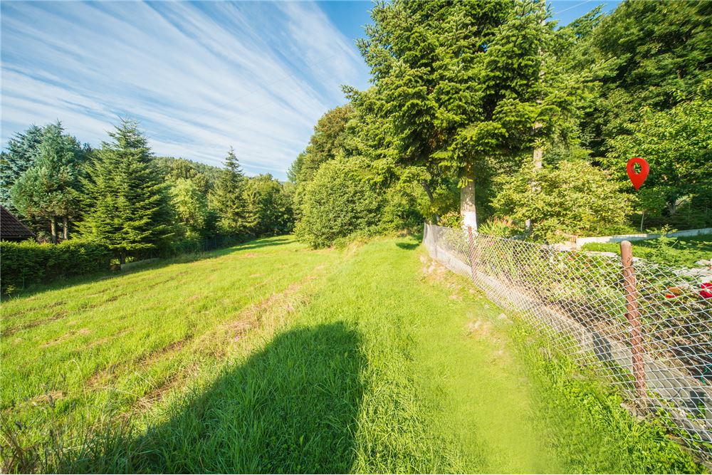 Działka - Sprzedaż - Godziszka, Polska - 4 - 800061116-19