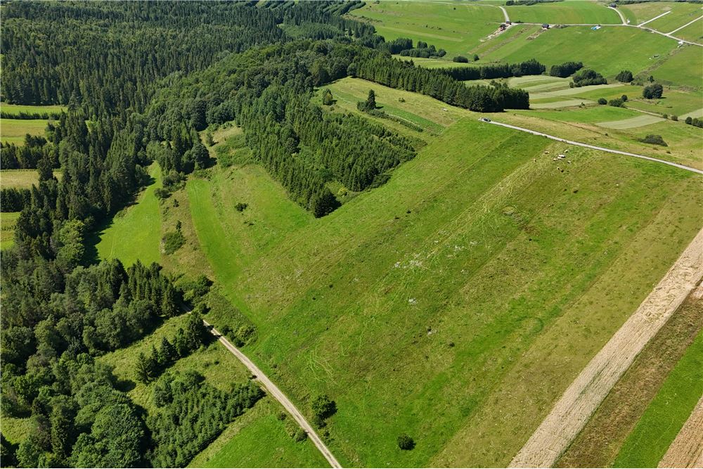 Działka budowlana - Sprzedaż - Dursztyn, Polska - 6 - 800091040-93