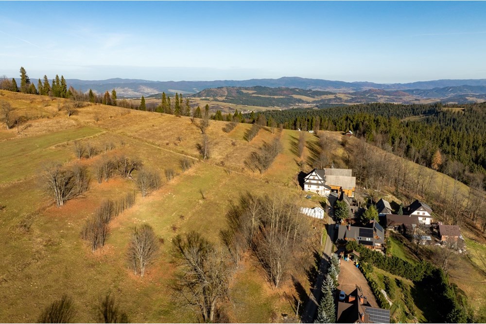 Działka - Sprzedaż - Rzepiska, Polska - 20251114-DJI_0902-HDR.jpg - 800091045-42
