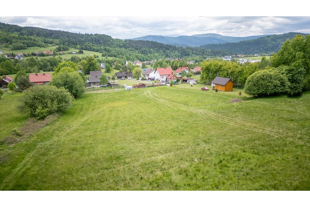 Działka - Sprzedaż - Krzeszów, Polska - DJI_0401.jpg - 470131112-7