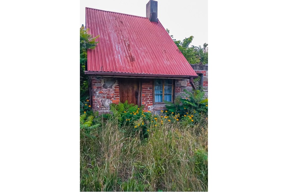 Działka - Sprzedaż - Grabostów, Polska - Dzialki-na-sprzedaz-5.jpg - 470191057-28