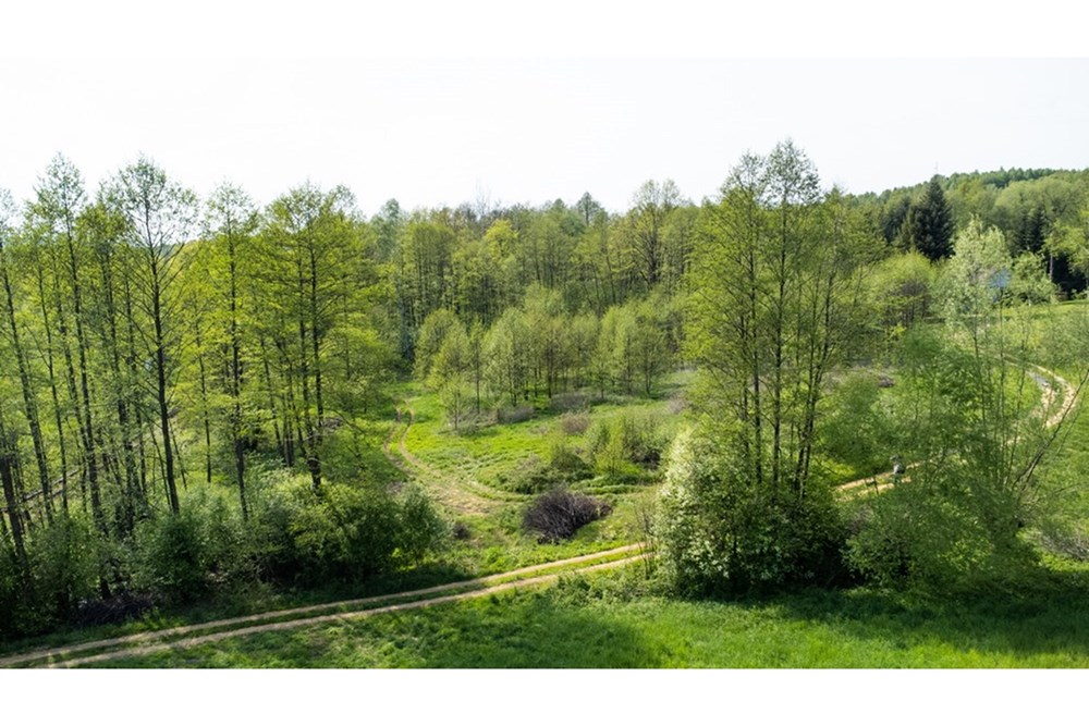 Działka - Sprzedaż - Barwałd Średni, Polska - BARWAŁD ŚREDNI_5.JPG - 470131106-29