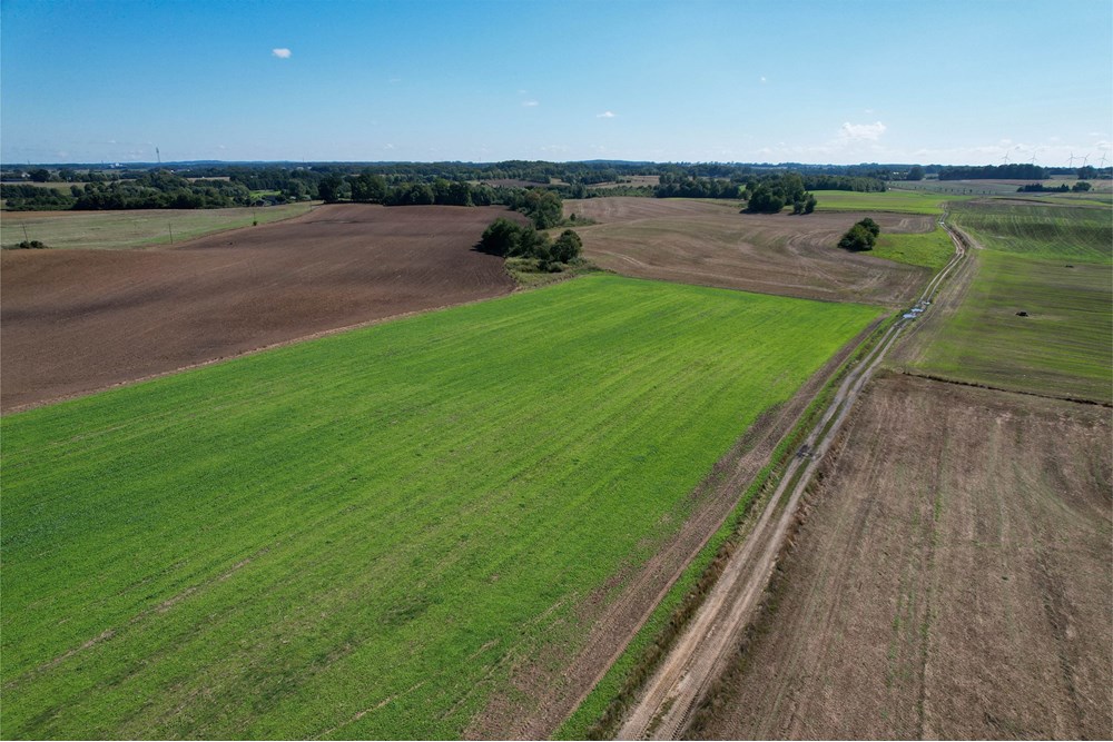 Działka budowlana - Sprzedaż - Będzino, Polska - 13.jpg - 470281002-229