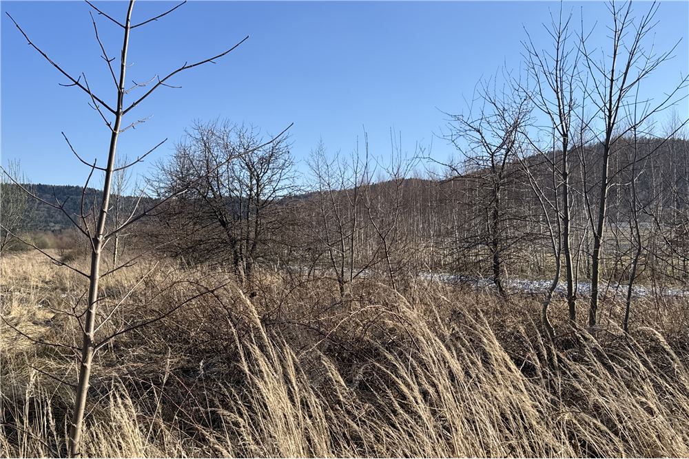 Działka - Sprzedaż - Chocznia, Polska - 11 - 800061100-79