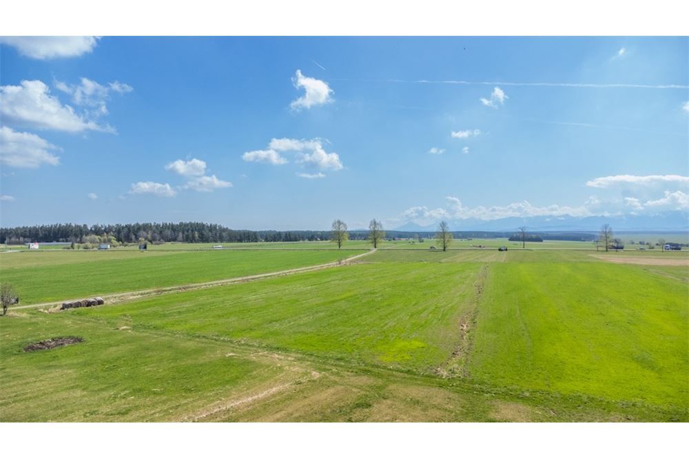 Nieruchomość gruntowa - Sprzedaż - Jabłonka, Polska - 17 - 470131089-56