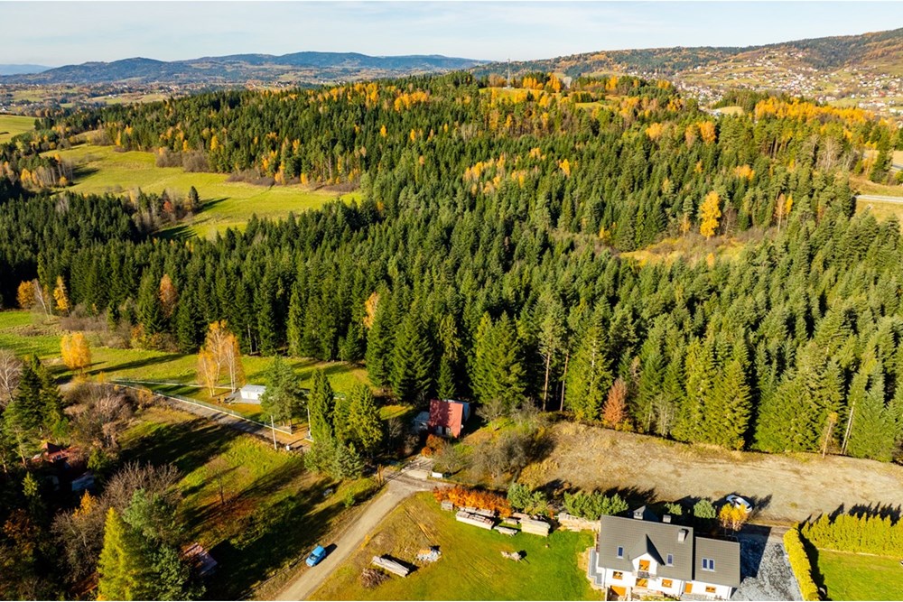 Działka - Sprzedaż - Skawa, Polska - 20251031-DJI_0243-HDR.jpg - 800091056-3