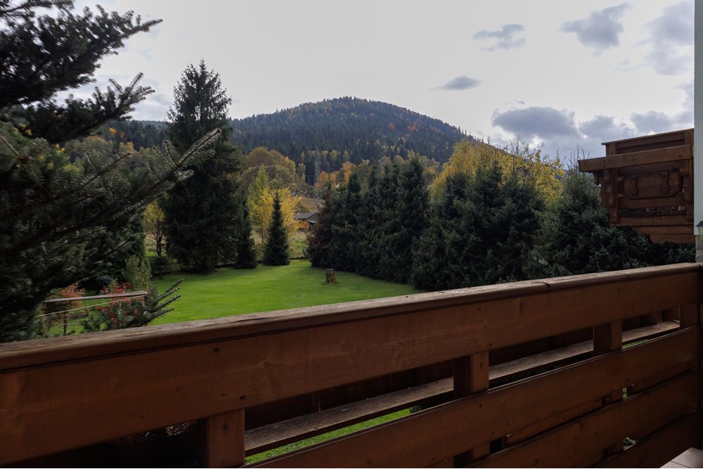 Dom wolnostojący - Sprzedaż - Szczyrk, Polska - IMG_1721.jpg - 800061103-192