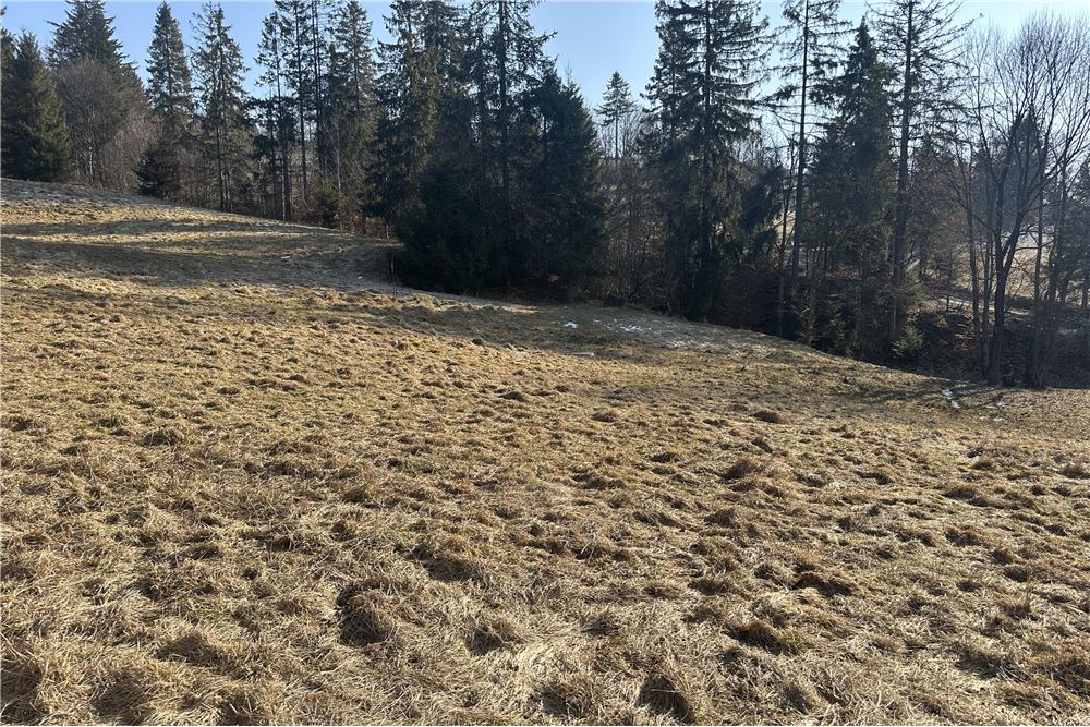 Działka budowlana - Sprzedaż - Sól-Kiczora, Polska - 78 - 800061103-162