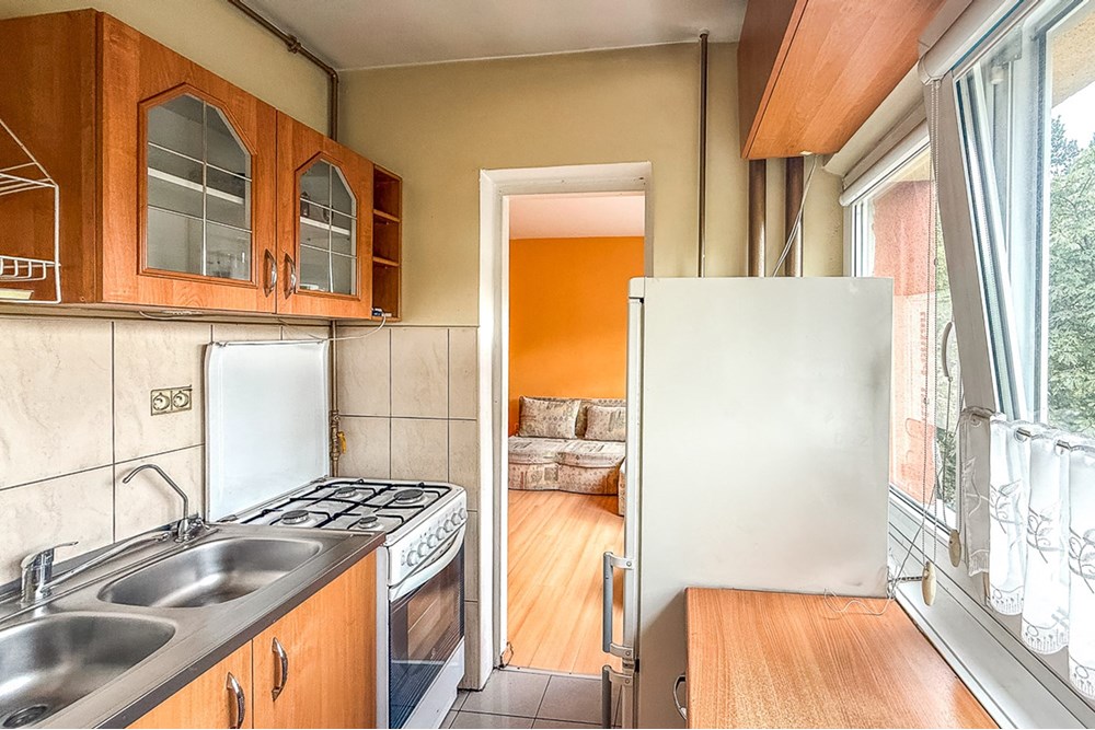 Mieszkanie - Sprzedaż - Łódź, Polska - Mieszkanie-na-sprzedaz-Lodz-Baluty-1.jpg - 470191035-110