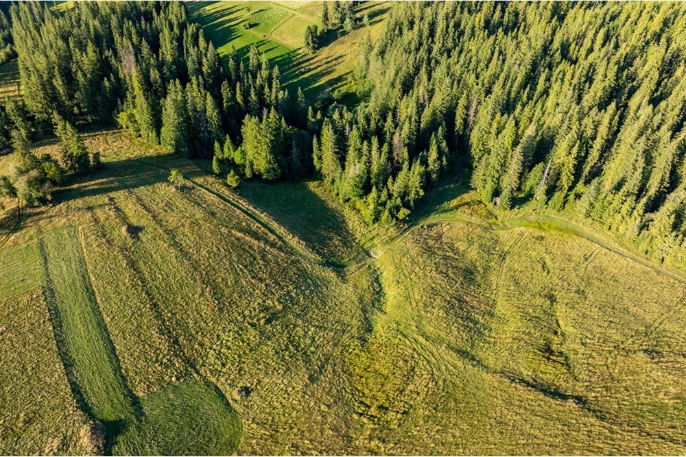 Działka - Sprzedaż - Zakopane, Polska - 20250826-DJI_0031-HDR.jpg - 470151024-449