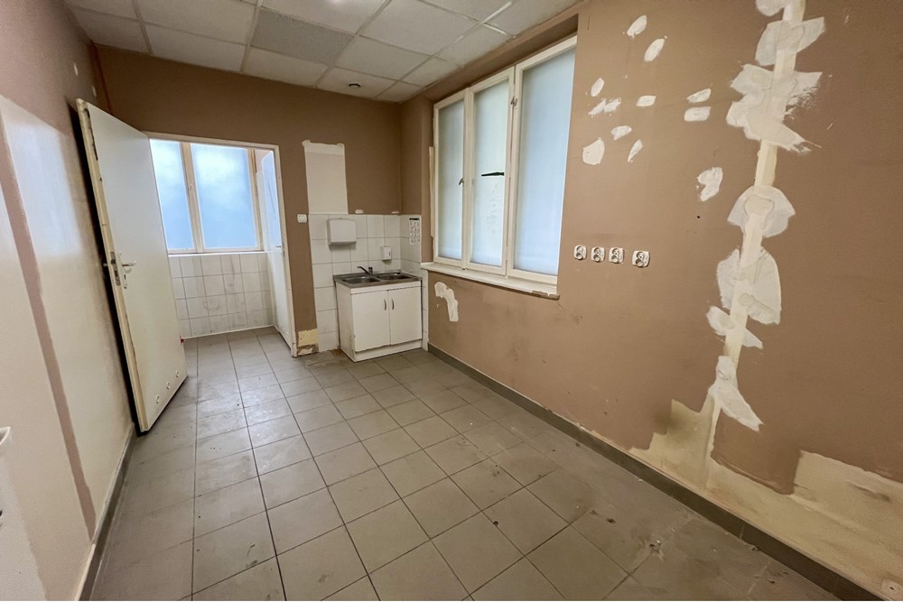 Lokal handlowy/usługowy - Sprzedaż - Rybarzowice, Polska - IMG_1827.jpg - 800061039-524