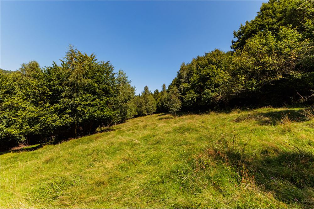 Działka - Sprzedaż - Międzybrodzie Żywieckie, Polska - 1 - 800061107-105