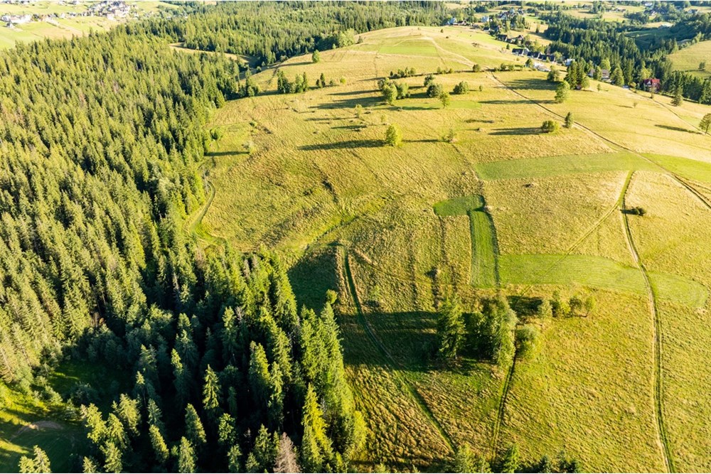Działka - Sprzedaż - Zakopane, Polska - 20250826-DJI_0055-HDR.jpg - 470151024-449