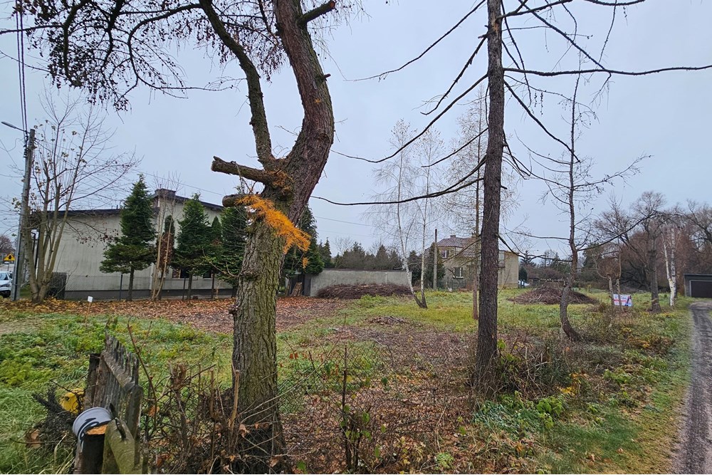 Nieruchomość gruntowa - Sprzedaż - Zawiercie, Polska - 20251121_100712(1).jpg - 800061135-18