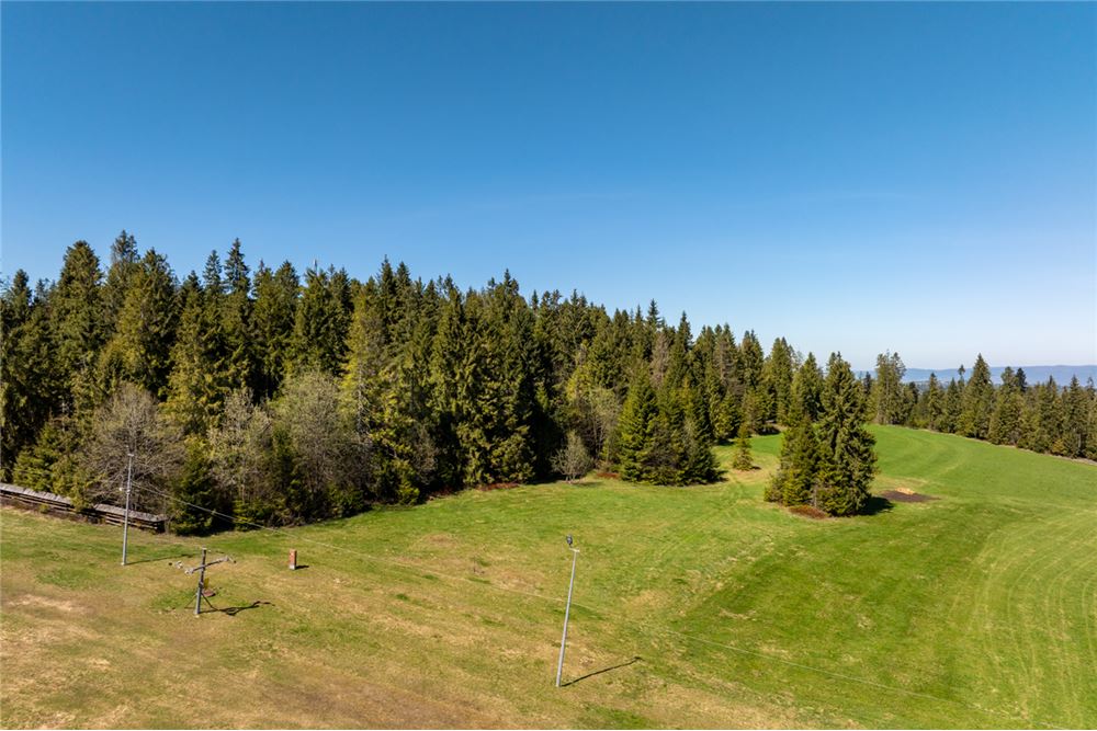 Działka - Sprzedaż - Małe Ciche, Polska - 30 - 470151035-134