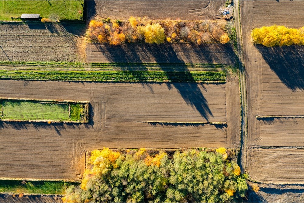 Działka budowlana - Sprzedaż - Trąbki, Polska - 20251031-DJI_0971-HDR.jpg - 800241005-219