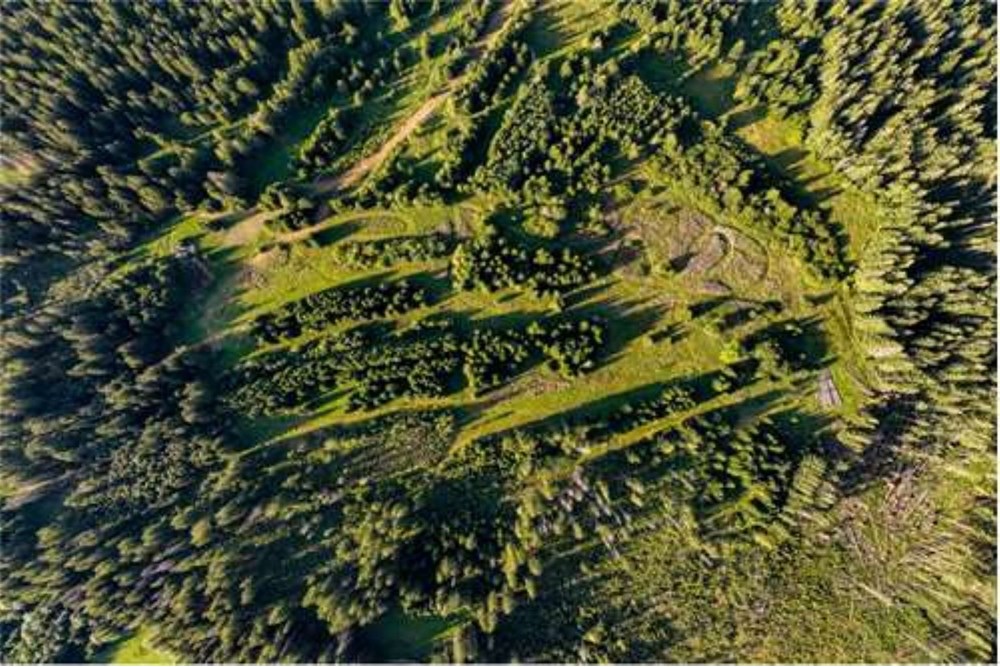 Działka - Sprzedaż - Dzianisz, Polska - D2 SS.jpg - 470151050-8