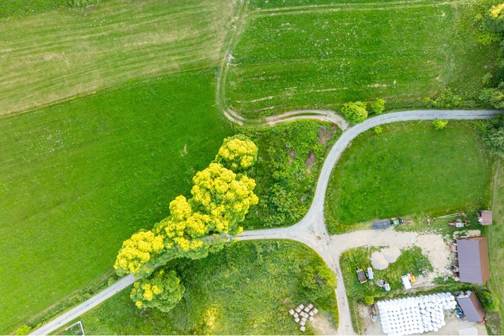 Działka budowlana - Sprzedaż - Pieniążkowice, Polska - DJI_0505-HDR-3.jpg - 800091045-36