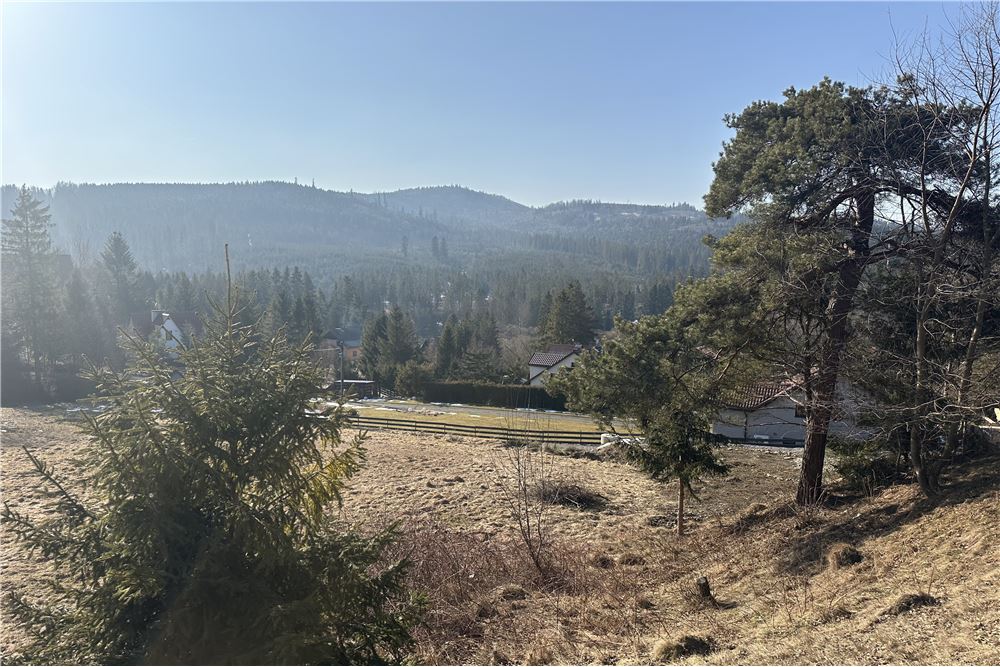 Działka budowlana - Sprzedaż - Sól-Kiczora, Polska - 61 - 800061103-162