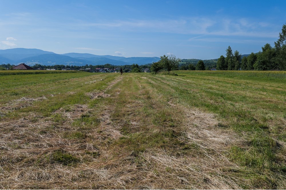 Działka budowlana - Sprzedaż - Lipowa, Polska - Działka_lipowa-4.jpg - 800061116-16