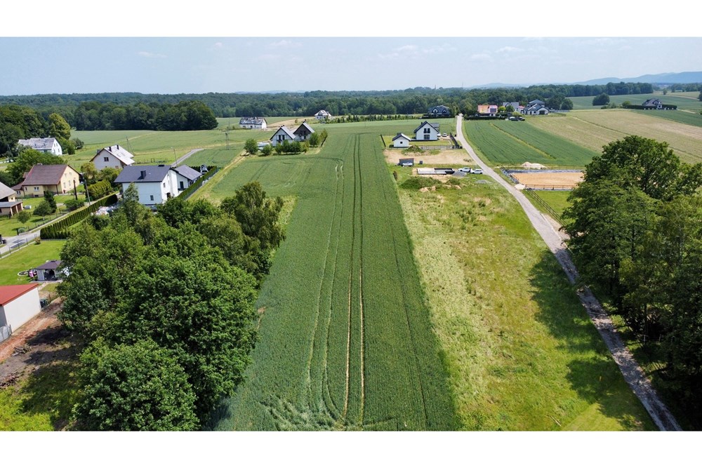 Działka budowlana - Sprzedaż - Witkowice, Polska - dji_fly_20250612_121908_585_1750154558966_photo_optimized.jpg - 800061127-21