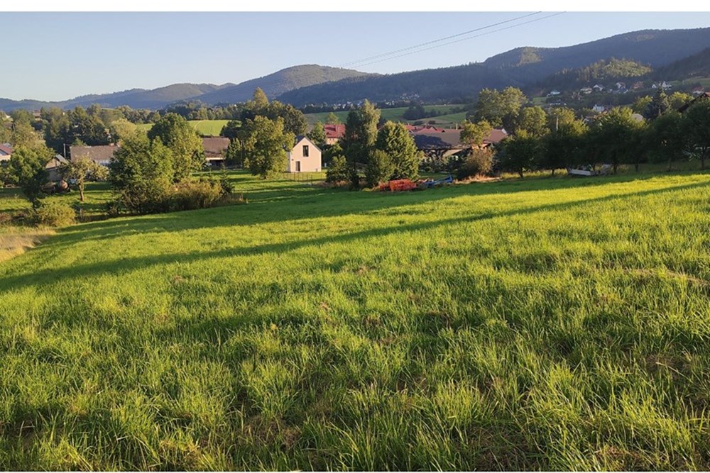 Działka - Sprzedaż - Lipowa, Polska - IMG_20250812_184700.jpg - 800061133-2