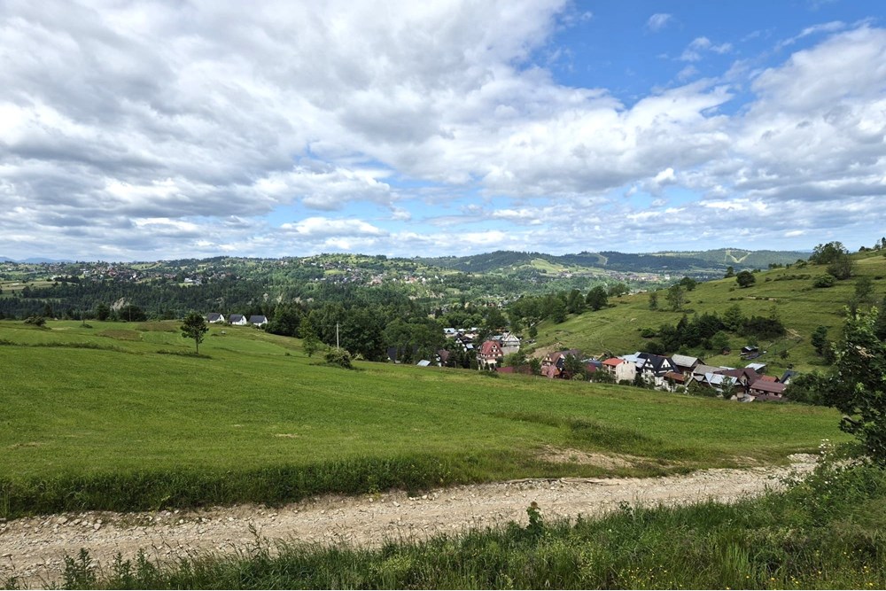 Działka - Sprzedaż - Rzepiska, Polska - Artur Zajac (2).jpg - 800091026-78