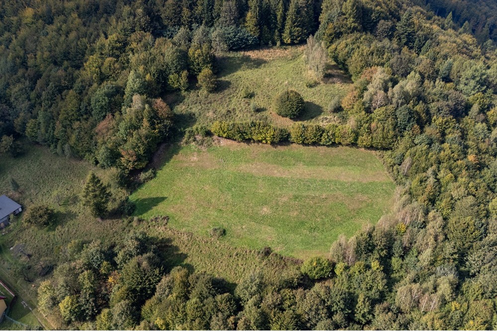 Działka budowlana - Sprzedaż - Międzybrodzie Bialskie, Polska - DJI_0520.jpg - 800061103-193