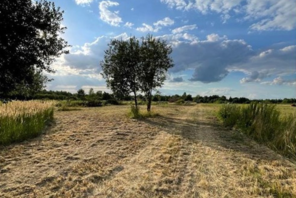 Działka budowlana - Sprzedaż - Józefów, Polska - 475773047_625215770035234_3779111492861674268_n.jpg - 810251061-18