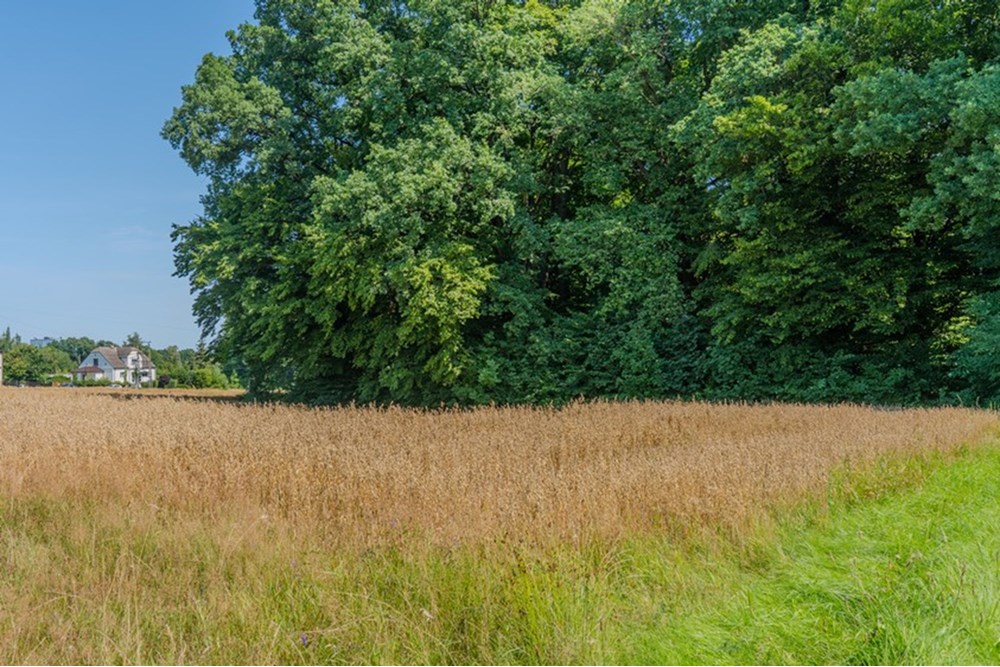 Działka budowlana - Sprzedaż - Bielsko-Biała, Polska - 10.JPG - 470131102-38