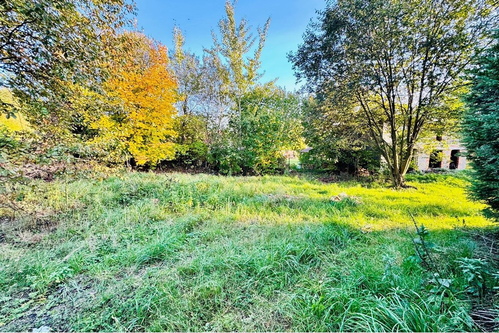 Działka budowlana - Sprzedaż - Rybnik, Polska - zagłoby 17.jpg - 470311001-56