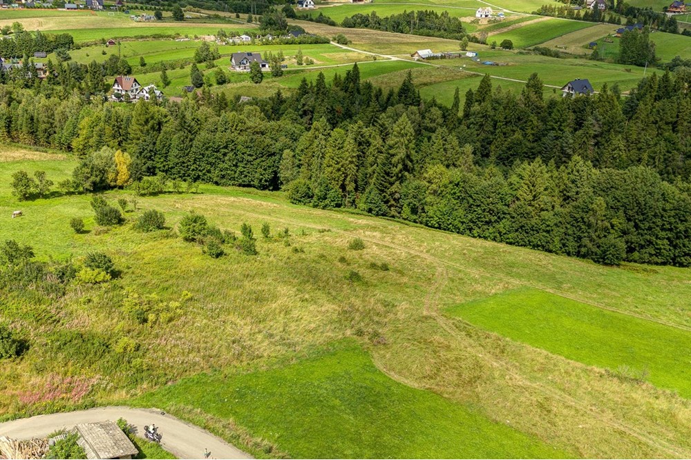 Działka - Sprzedaż - Krośnica, Polska - 0003_pajerski-dzialka-krosnica.jpg - 470131113-349