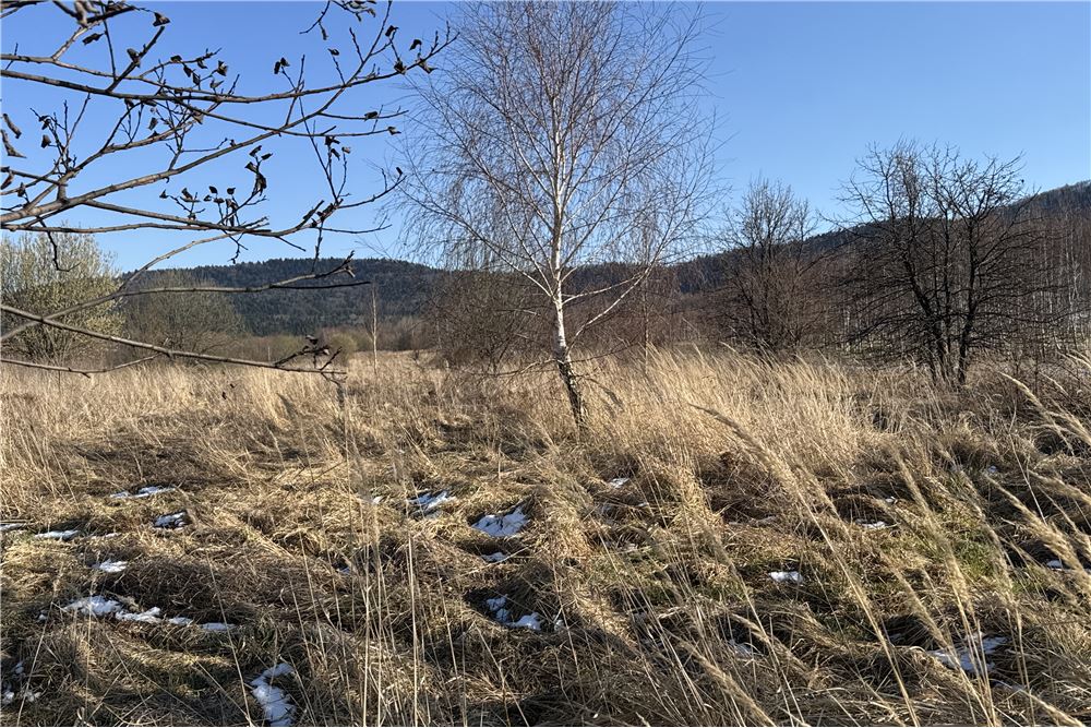 Działka - Sprzedaż - Chocznia, Polska - 9 - 800061100-79