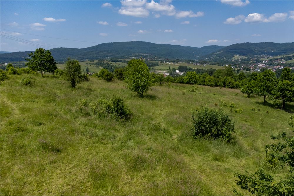 Działka budowlana - Sprzedaż - Rychwałd, Polska - 54 - 800061103-169