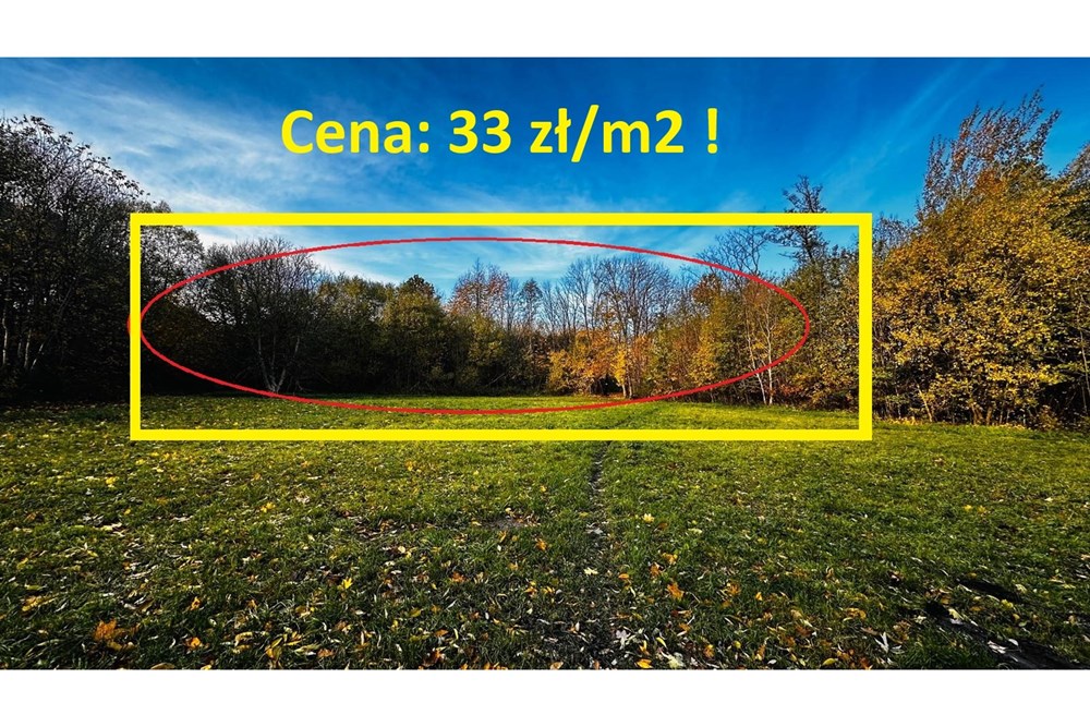 Działka - Sprzedaż - Bielsko-Biała, Polska - edycja 2.jpeg - 800061109-41