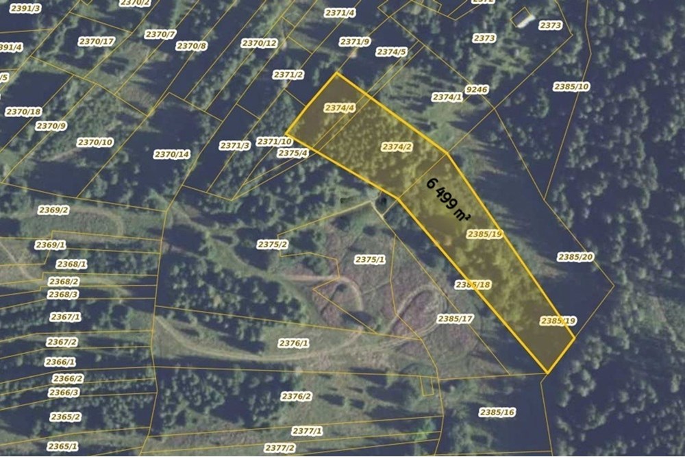 Działka - Sprzedaż - Dzianisz, Polska - Obrys 3.JPG - 470151050-7