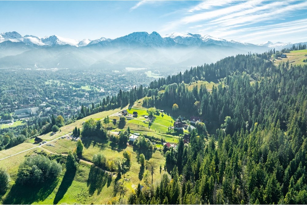 Działka - Sprzedaż - Zakopane, Polska - 20251004-DJI_0917-HDR.jpg - 470151024-456