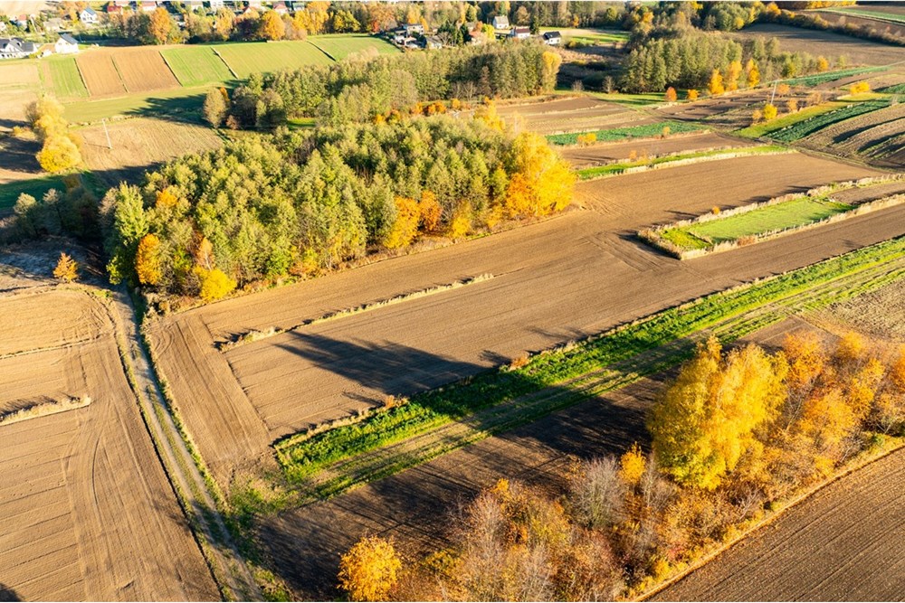 Działka budowlana - Sprzedaż - Trąbki, Polska - 20251031-DJI_0941-HDR.jpg - 800241005-219
